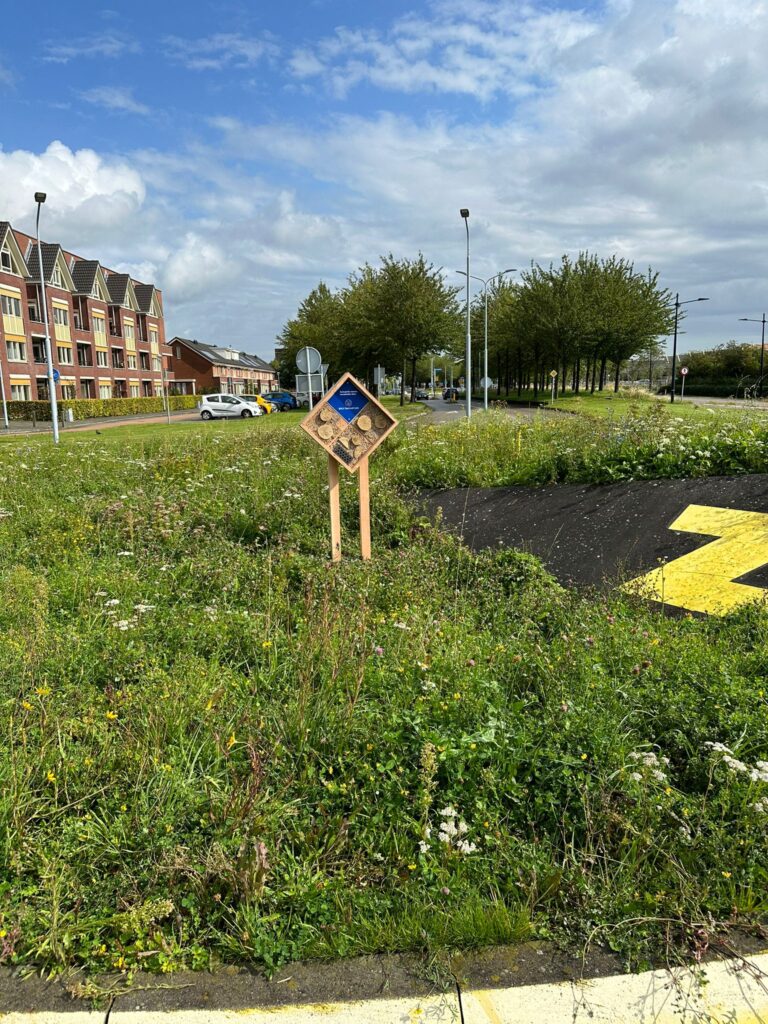 Tuinontwerp rotonde Bols Tandartsen