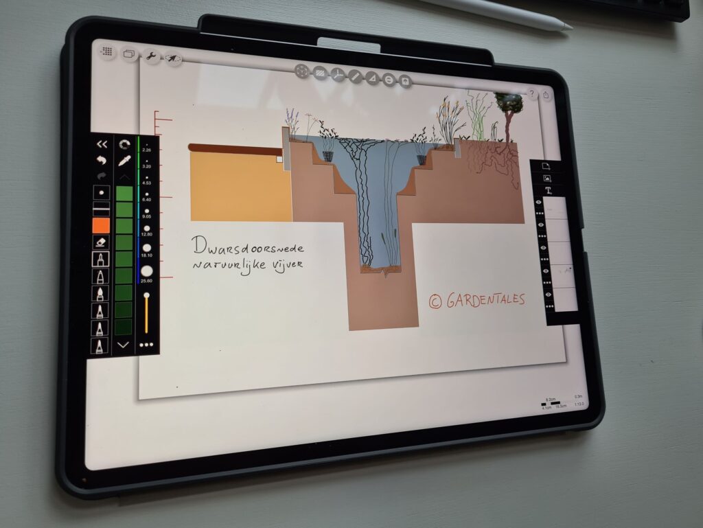 Natuurlijke vijver dwarsdoorsnede